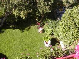 Resize of P1010221.JPG